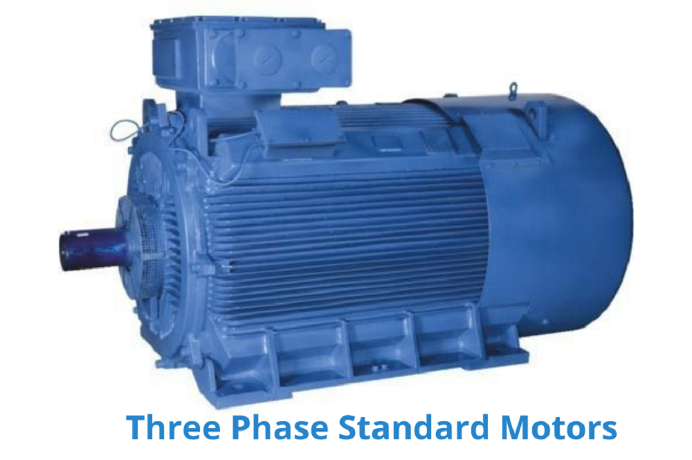 Bharat Bijlee (BBL) Large Frame Duplex Cooling Induction Motors