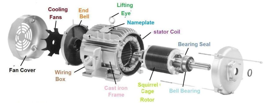 Parts-of-Squirrel-Cage-Induction-Motor